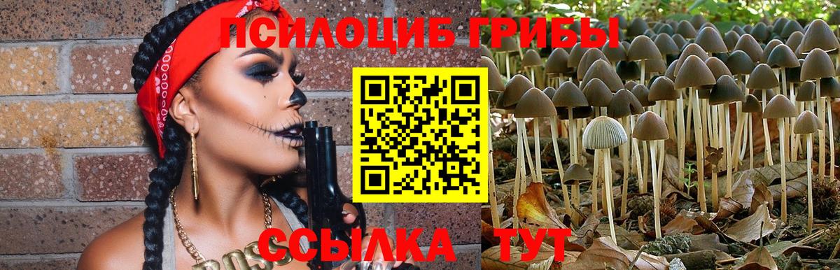 Галлюциногенные грибы Magic Shrooms Тихвин
